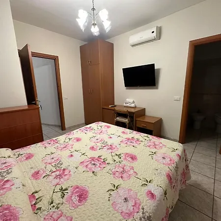 Sofia 로마
